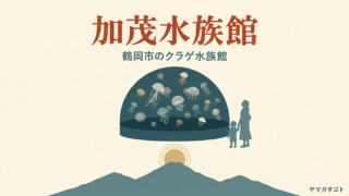 【山形・鶴岡】加茂水族館の料金と所要時間｜リニューアルでクラゲ100種に 