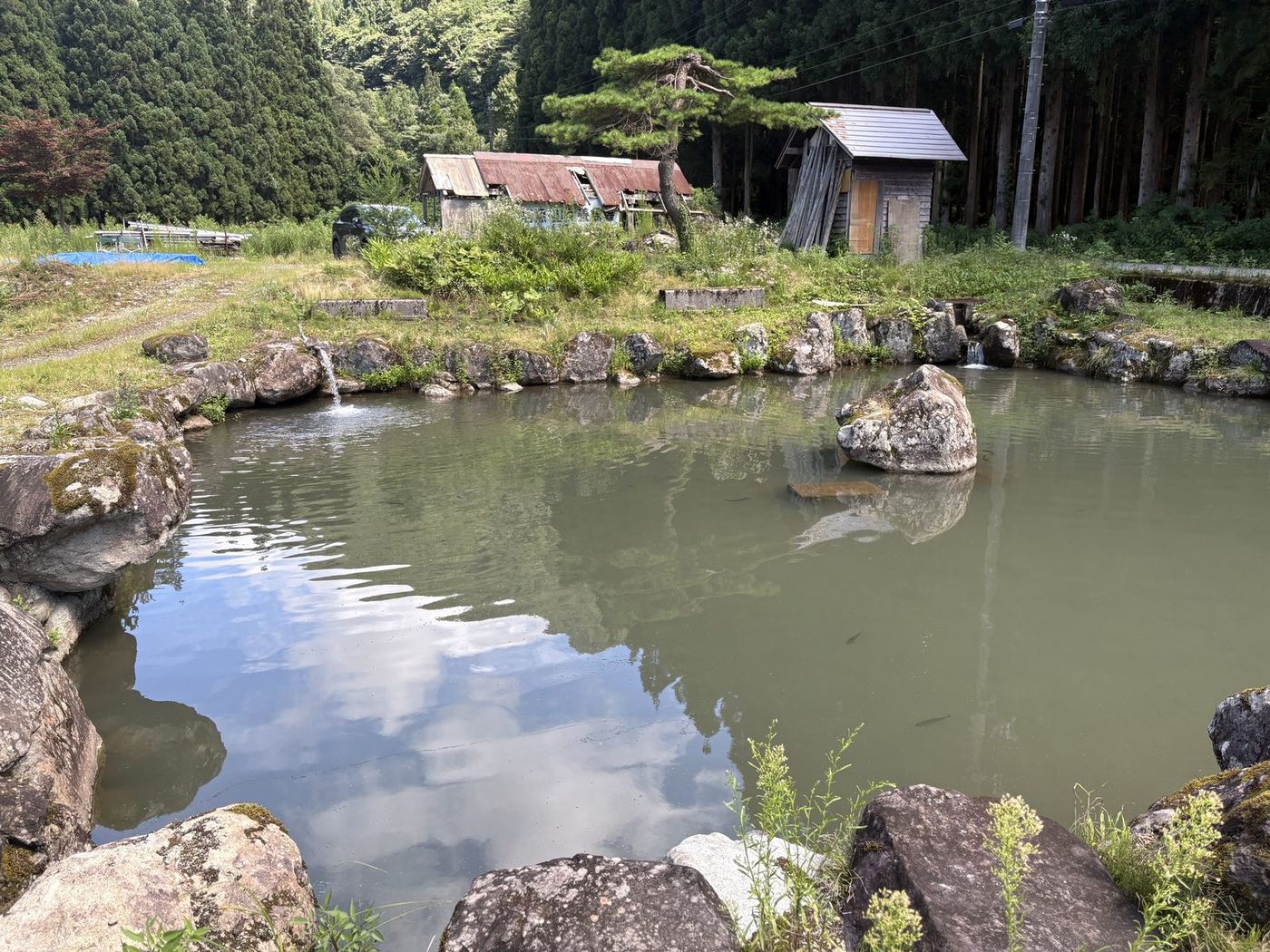 エサ釣りプランで使う石垣に囲まれた池