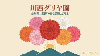 川西ダリヤ園の見頃はいつ？入園料550円・無料駐車場と園内のランチ 