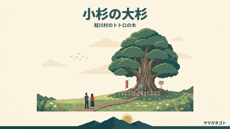 小杉の大杉（トトロの木）山形・鮭川村｜冬は道が閉まる・見る角度で姿が変わる 
