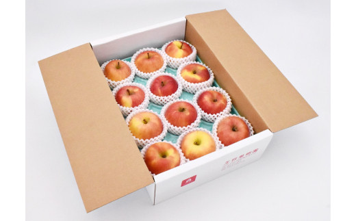 天童市の返礼品 りんご こうとく 2kg