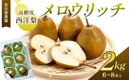 長谷部農園のメロウリッチ 2kg 化粧箱 6〜8玉入