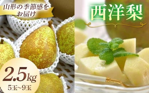 山形県の返礼品 西洋梨 2.5kg 5〜9玉