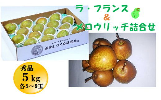 ラ・フランスとメロウリッチの詰合せ 秀品5kg 各5〜9玉