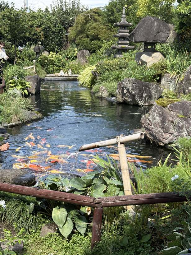 庭園喫茶 錦の日本庭園。錦鯉の泳ぐ池と石灯籠