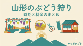 山形のぶどう狩り18選｜デラウェアとシャインマスカットの時期 