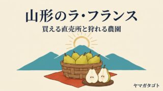 山形のラ・フランス直売所5選｜買える時期・解禁日と狩れる農園 