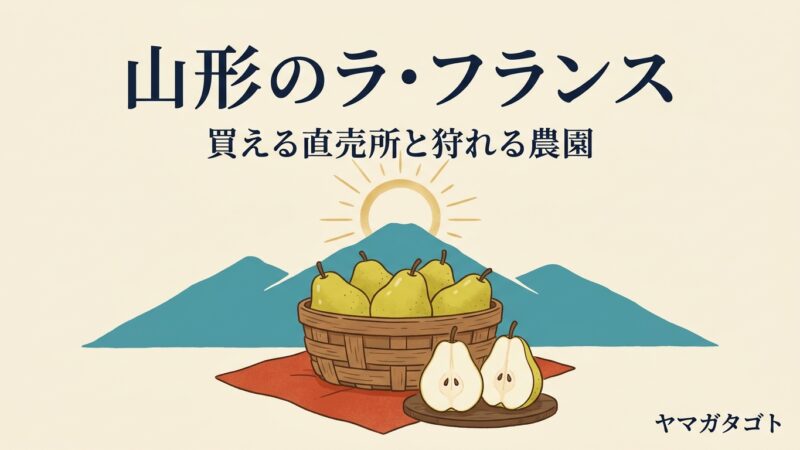 山形のラ・フランス直売所5選｜買える時期・解禁日と狩れる農園 