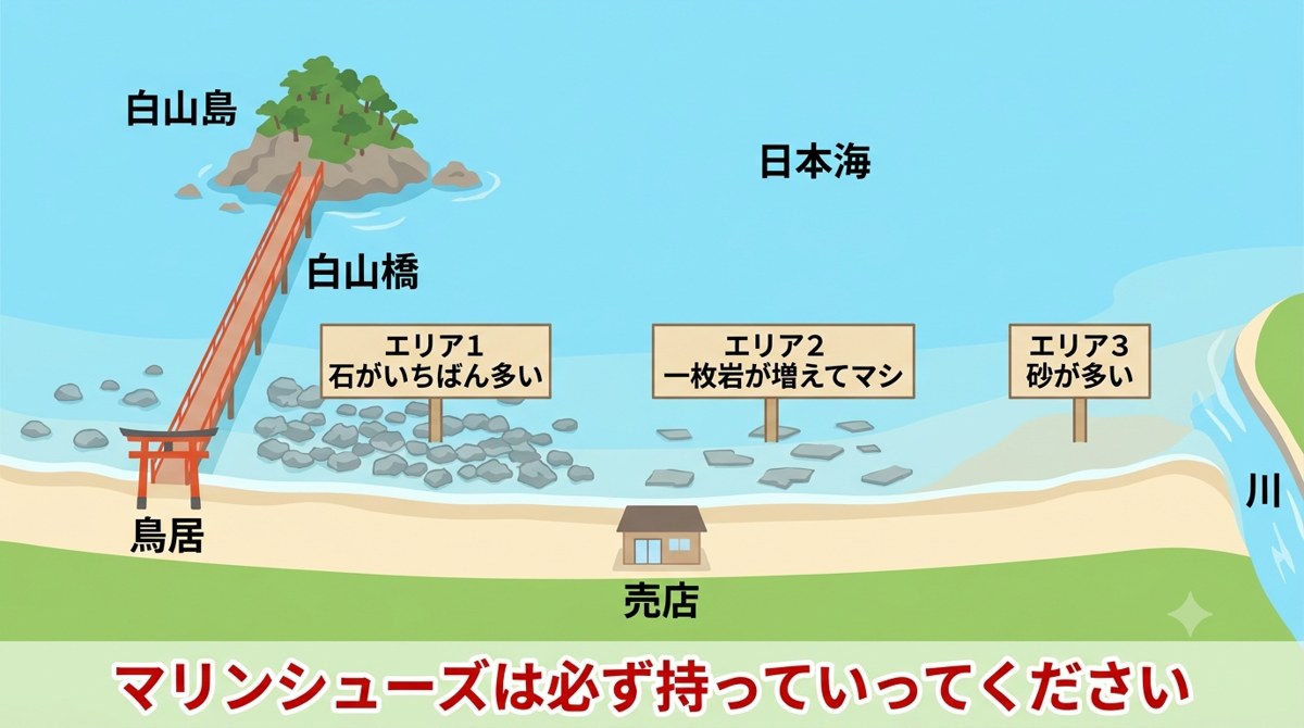 由良海水浴場のイメージ図。白山島にかかる赤い橋と鳥居があり、その右がエリア1で海の中に石が多く、売店の前のエリア2は平らな一枚岩、川に近いエリア3は砂が中心